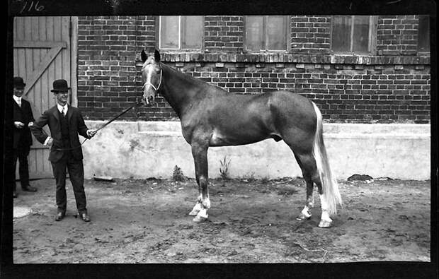 Фотография: Москва 1909 года №67 - BigPicture.ru