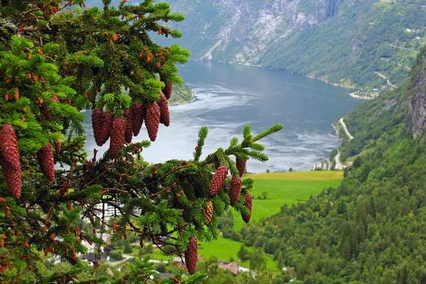 fjords28 Самые красивые фьорды Норвегии