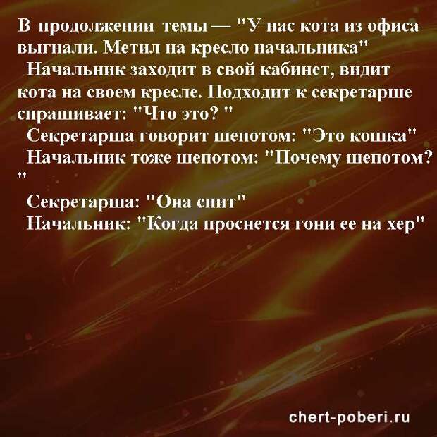Самые смешные анекдоты ежедневная подборка chert-poberi-anekdoty-chert-poberi-anekdoty-01581112082020-9 картинка chert-poberi-anekdoty-01581112082020-9