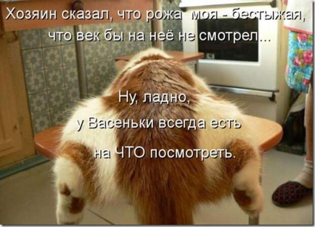 220e910c25b0efa5b379f2fcd1c_prev