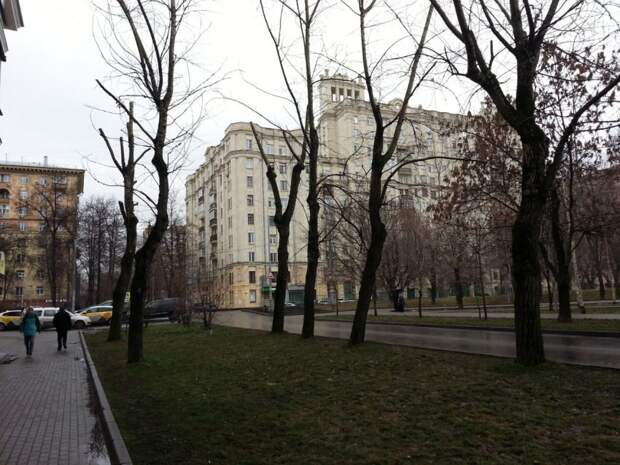 Фото: управа района Войковский