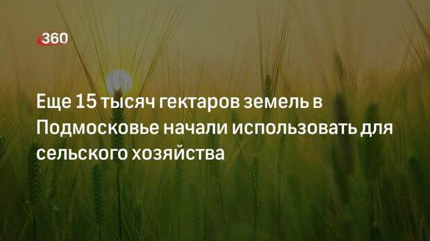 Еще 15 тысяч гектаров земель в Подмосковье начали использовать для сельского хозяйства