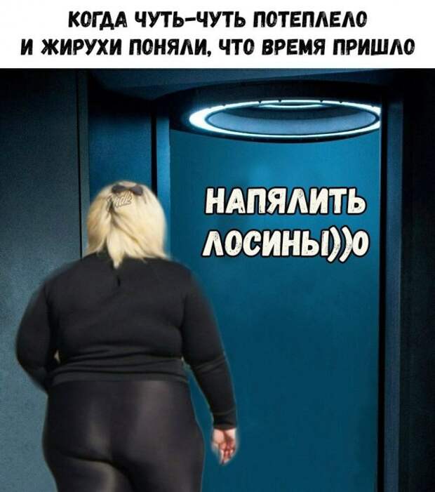 Нестандартный юмор :) Нестандартный юмор :)