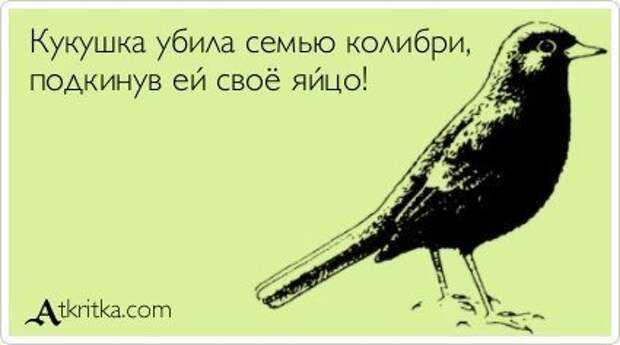 Всё в кучу 7