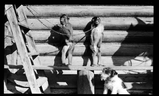 Москва 1909 г. (59 фото)