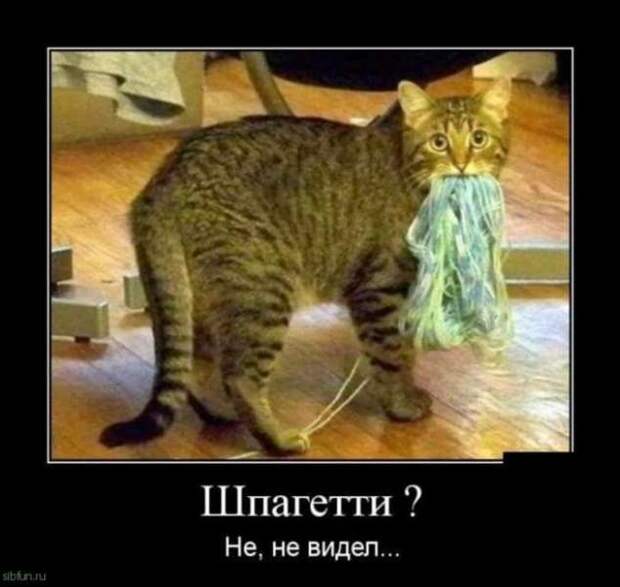 Прикольные демотиваторы с надписями. Подборка chert-poberi-dem-chert-poberi-dem-09310421092020-10 картинка chert-poberi-dem-09310421092020-10