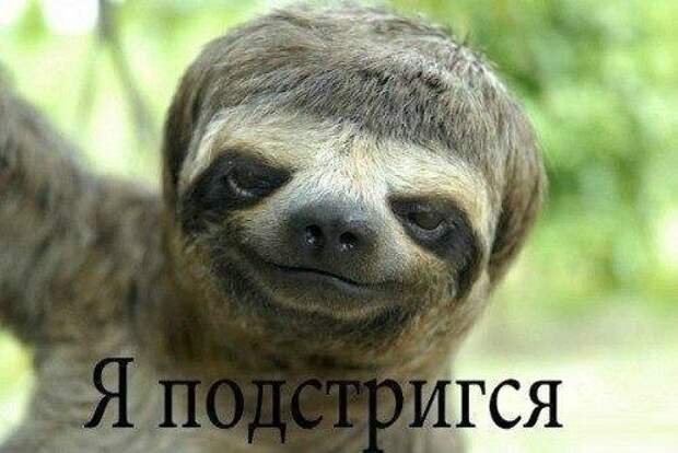Всё в кучу 6