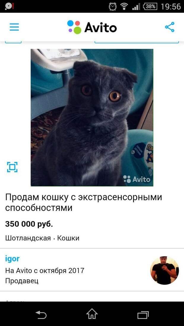 Когда бесит абсолютно всё Когда бесит абсолютно всё