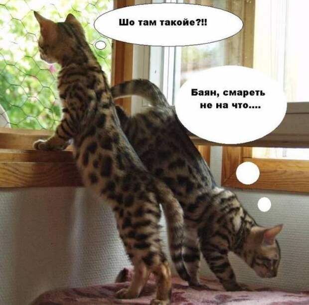 Давайте улыбаться вместе! :) (44улыбоки)