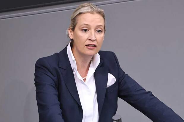 Кандидат в канцлеры ФРГ Вайгель хочет мира на Украине