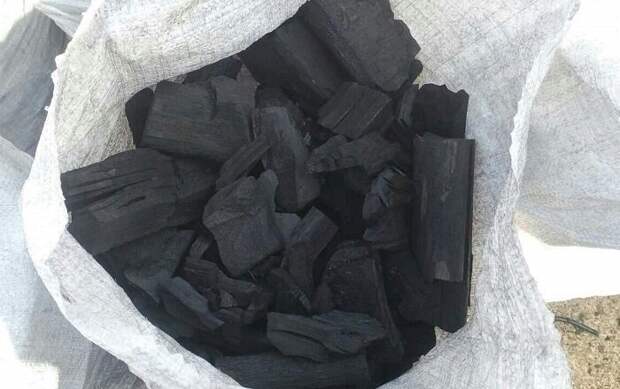 Понадобится несколько кусочков древесного угля. / Фото: izhevsk.ru