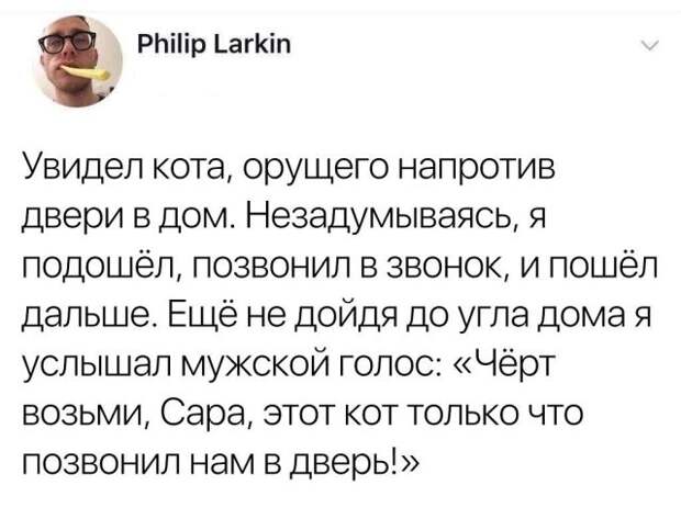 Подборка картинок. Вечерний выпуск (26 фото)