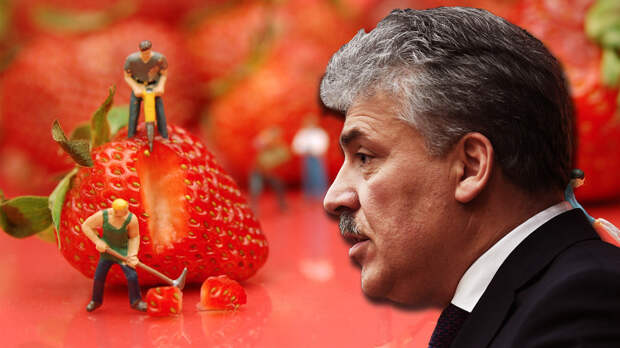 Картинки по запросу грудинин