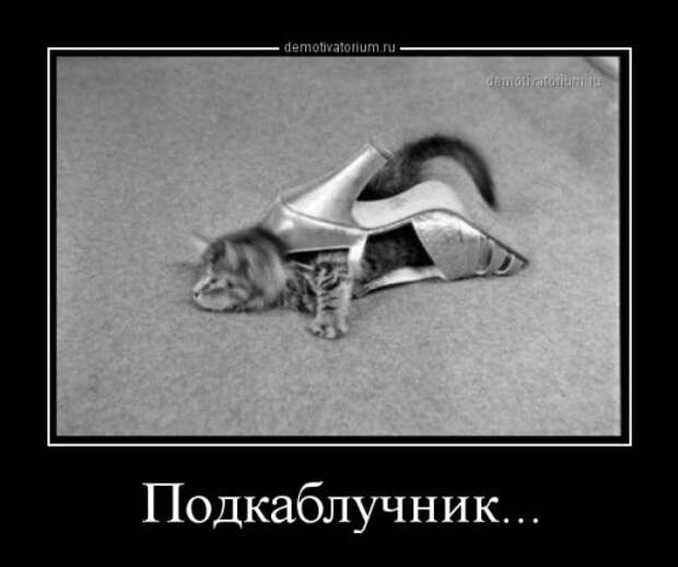 Новый сборник демотиваторов (15 шт)