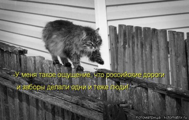 Лучшие котоматрицы недели (50 фото) Лучшие котоматрицы недели (50 фото)