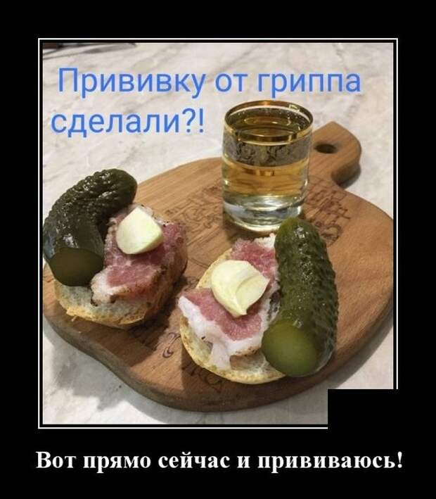 Демотиваторы (20 фото)