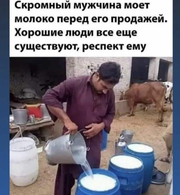 Лучшие шутки и мемы из Сети