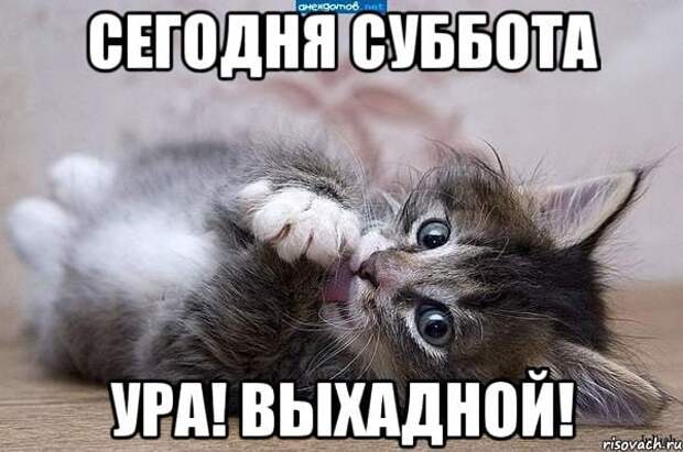 Коллекция весёлых картинок про субботу