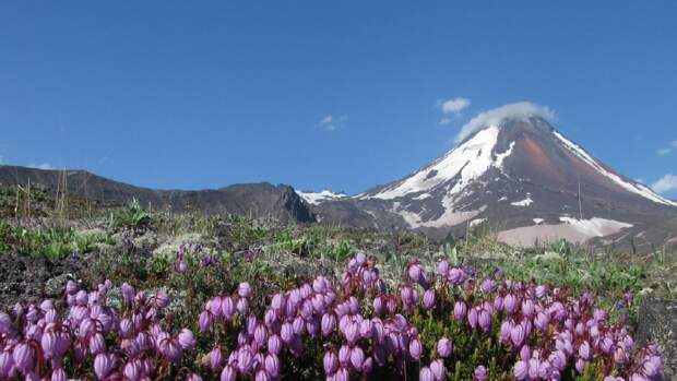 Как подготовить путешествие по России