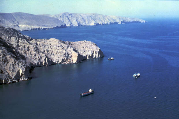 Welt: Тегеран высмеял призывы Трампа обеспечить безопасность Ормузского пролива