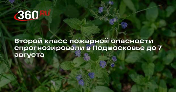 Второй класс пожарной опасности спрогнозировали в Подмосковье до 7 августа