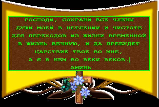 Изображение с кодом 5238989