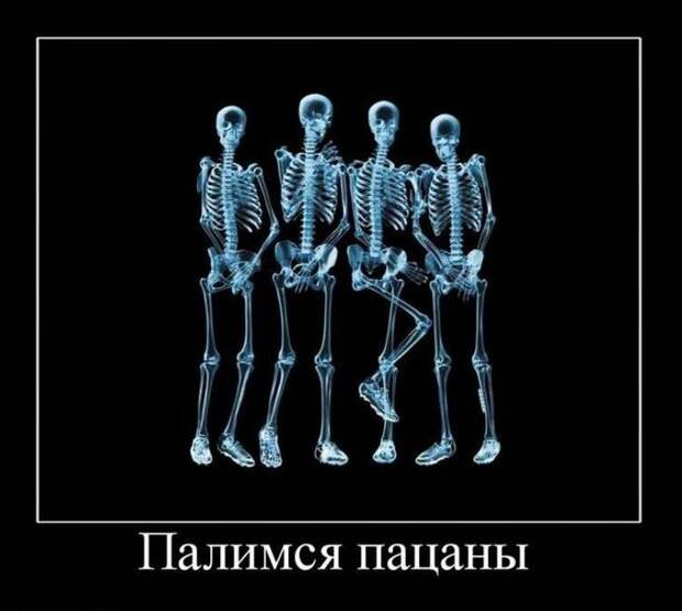 Смешные демотиваторы