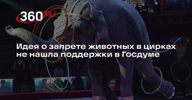 Идея о запрете животных в цирках не нашла поддержки в Госдуме