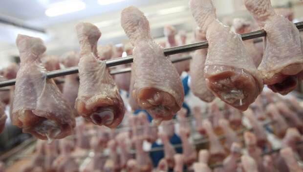 Россия запретит всю сельхозпродукцию из США, включая курятину Россия запретит всю сельхозпродукцию из США, включая курятину