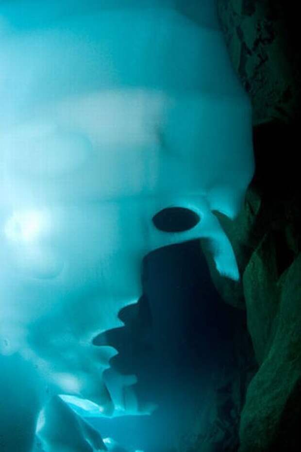 Дайвинг под ледяными глыбами (15 фото)