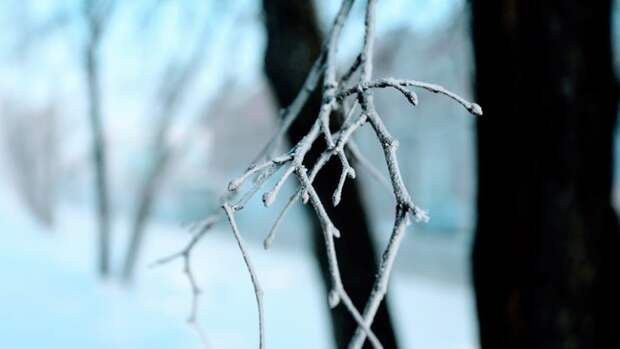 До -10. О погоде в Барнауле 23 февраля