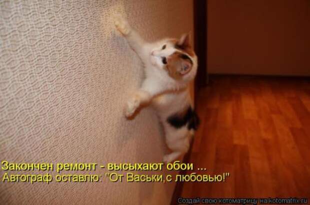 Котоматрицы(картинки с надписями)