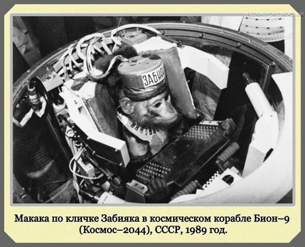 Фотографии с богатым историческим прошлым со всего мира
