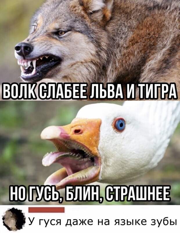 Реально Реально