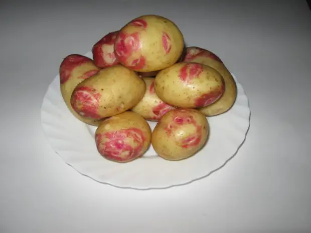 Картофель сорта Пикассо