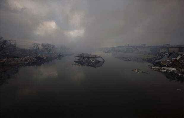 Лучшие снимки Reuters 2011 (часть 3)