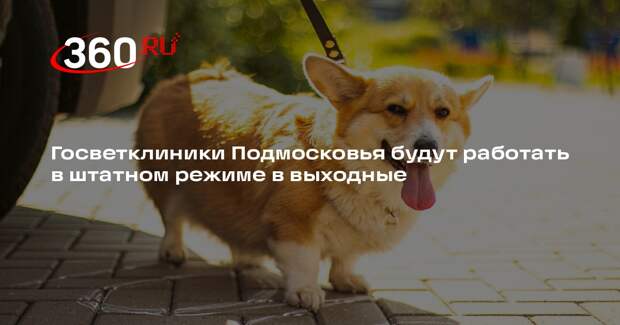 Госветклиники Подмосковья будут работать в штатном режиме в выходные