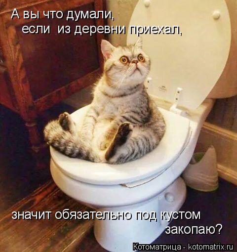 Котоматрица: А вы что думали, если  из деревни приехал, значит обязательно под кустом закопаю?