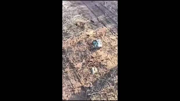 Video: Видео от Донецкая группа новостей|Донецк.ДНР