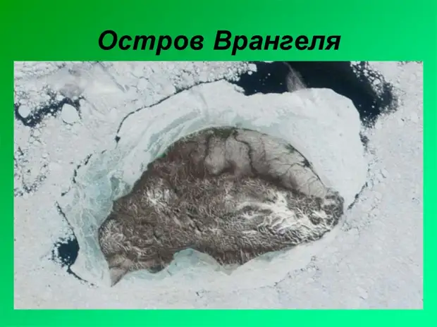 Остров Врангеля — снимок из космоса