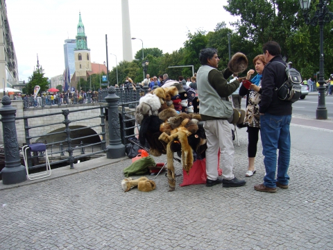 3189870-b08ca24bc3f2fee9.jpg