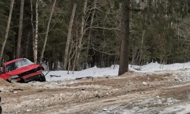 В Устьянском районе девушка на автомобиле врезалась в дерево