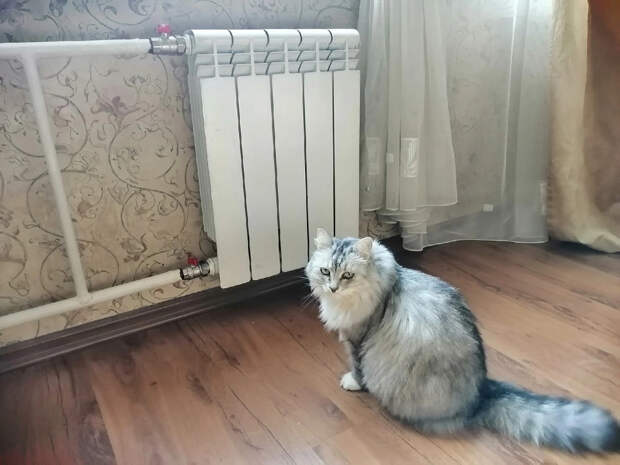 Батареи отключить! В Челябинске начали перекрывать подачу тепла