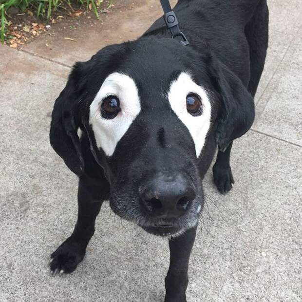 Очки