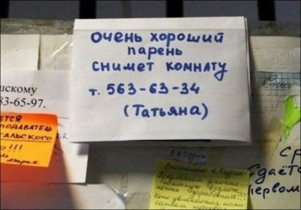 ТОП самых забавных объявлений: читаем и улыбаемся!
