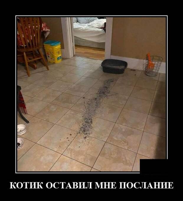 Демотиваторы 18 декабря 2020