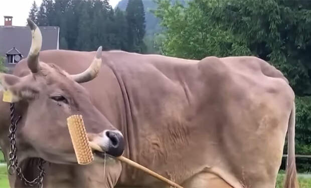 Источник фото: YouTube@CBS News/скриншот