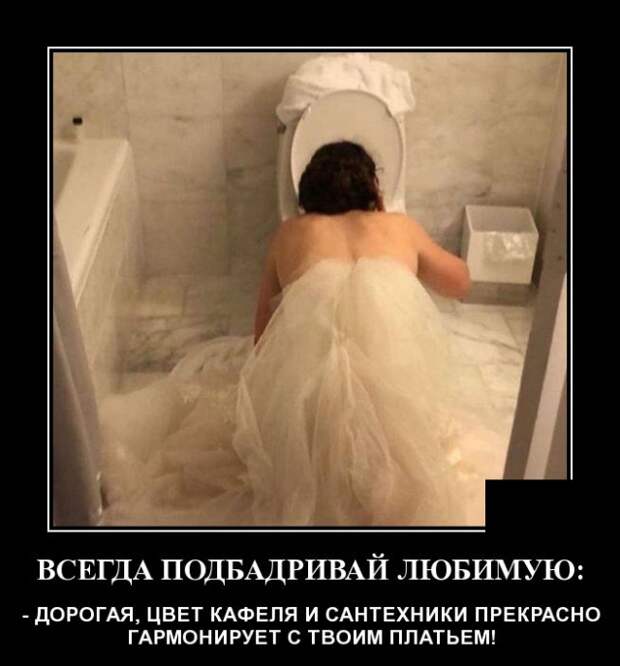 Демотиваторы (20 фото)