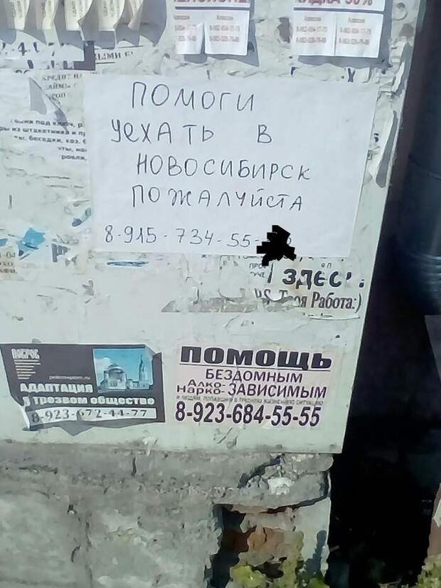 Новосибирские послания Новосибирские послания