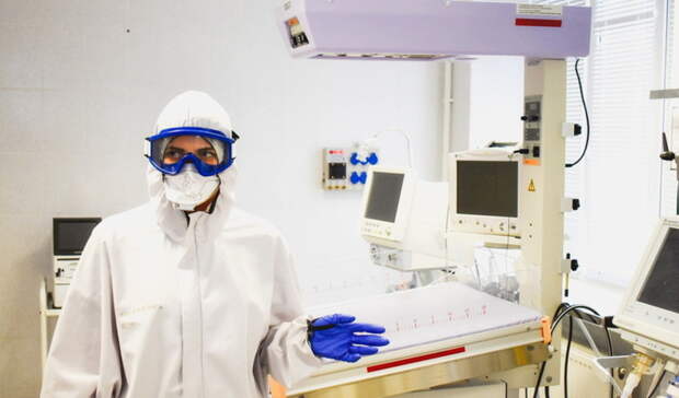 Сибирская язва на Ставрополье и смерть командира — о чем говорили на Ставрополье